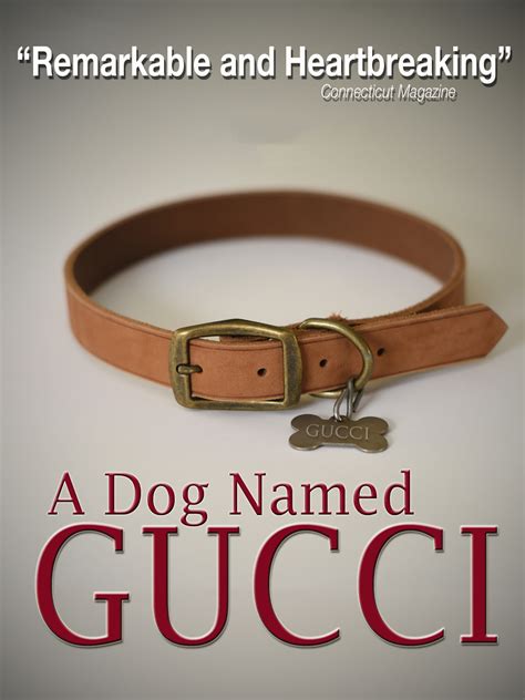 gucci im a dog|dog named gucci full movie.